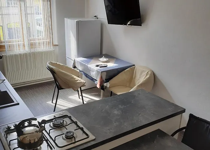 Apartment Apartma Františkovy Lázně