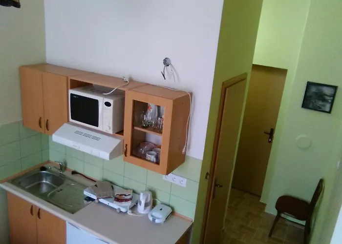 Apartma Apartment Františkovy Lázně